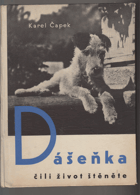 Dášeňka čili život štěněte