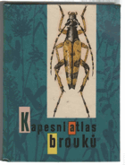 Kapesní atlas brouků s určovacím klíčem vyobrazených druhů ENTOMOLOGIE