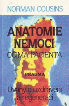 Anatomie nemoci očima pacienta - Úvahy o uzdravení a regeneraci
