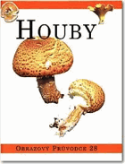 Houby