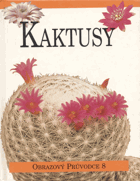 Kaktusy