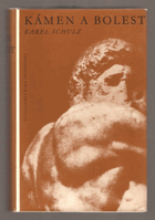 Kámen a bolest - román o Michelangelovi Buonarroti. Michelangelo Buonarroti