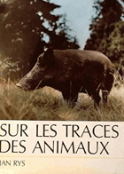 Sur les traces des animaux