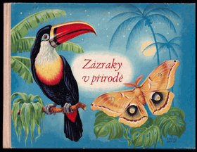 Zázraky v přírodě - pedagogická obrázková kniha