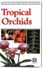 Tropical Orchids of Southeast Asia