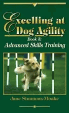 Excelling at dog agility
