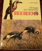 Strange and Beautiful Birds