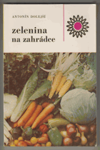 Zelenina na zahrádce