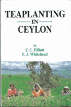 Tea Planting in Ceylon