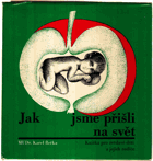 Jak jsme přišli na svět. Co neprozradí zrcadlo - Knížka pro zvědavé děti a jejich rodiče