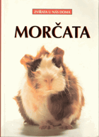 Morčata