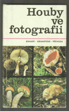 Houby ve fotografii