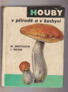 Houby v přírodě a v kuchyni