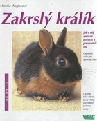 Zakrslý králík - jak o něj správně pečovat a porozumět mu - odborné rady pro správný chov