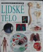 Lidské tělo - Obr. slovník