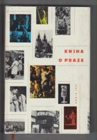 Kniha o Praze 1964 - malířství, sochařství, užité umění, architektura BEZ PŘEBALU