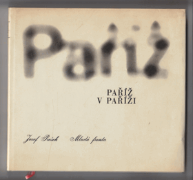 Paříž v Paříži