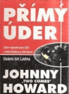 Přímý úder