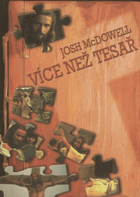 Více než tesař