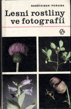 Lesní rostliny ve fotografii