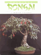 Pokojová bonsai