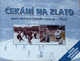 Čekání na zlato, aneb, Historie ledního hokeje v Plzni