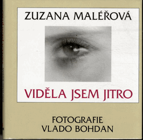 Viděla jsem jitro