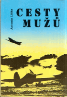 Cesty mužů