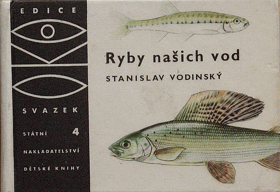 Ryby našich vod