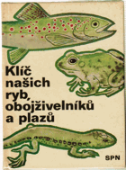 Obálka