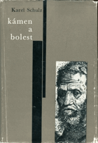 Kámen a bolest - román o Michelangelovi Buonarroti. Michelangelo Buonarroti