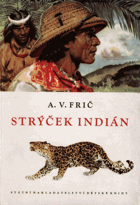 Strýček Indián. Dobrodružství lovce v Gran Čaku