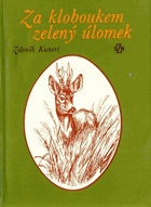 Za kloboukem zelený úlomek
