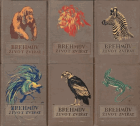 6SVAZKŮ Brehmův ilustrovaný život zvířat 1-6. 1.-3 Savci, 4-5. Ptáci, 6. Plazi ...