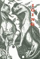 IGING Staročínská kniha VČ PŘÍLOHY O věštění, přeměnách, projevu ducha, jang-jin