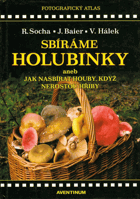 Sbíráme holubinky, aneb, Jak nasbírat houby, když nerostou hřiby