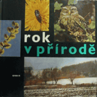 Rok v přírodě