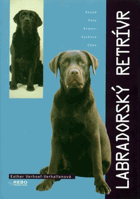 Labradorský retrívr - Labrador