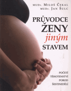 Průvodce ženy jiným stavem