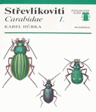 Střevlíkovití Carabidae I Entomologie Hmyz