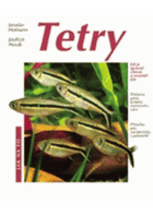 Tetry - příručka pro začátečníky i pokročilejší akvaristy