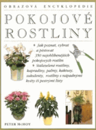 Pokojové rostliny