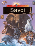 S A V C I