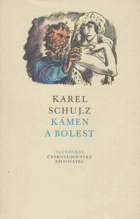 Kámen a bolest - román o Michelangelovi Buonarroti. Michelangelo Buonarroti