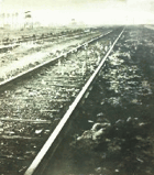 Auschwitz-Birkenau