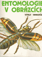 Entomologie v obrázcích