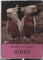Introducing Birds