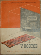 Automobil v kostce