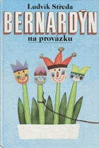 Bernardýn na provázku