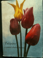 Tulipány